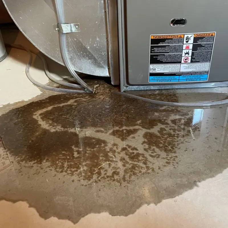 Pipe Burst and Leak Restoration in Seneca Falls, NY